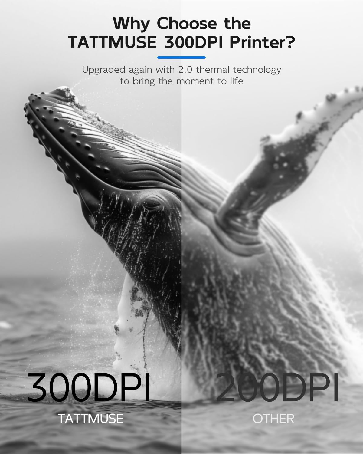 Inkless Portable Printer for Travel, Wireless Thermal Printer for Phone Laptop, Support 8.5" X 11" US Letter & A4 Size, Small Bluetooth Mobile Printers with Carry Case and 4 Rolls of Thermal Paper Kit