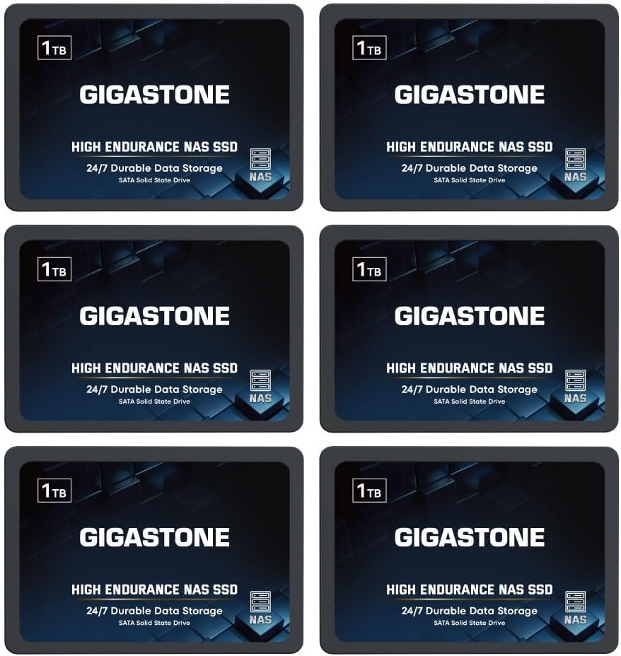 Gigastone 1TB NAS SSD Drive (6-Pack) 24/7 Durable TLC High Endurance RAID Data Storage Network Attached Storage 2.5" SATA Internal Solid State Hard Drives