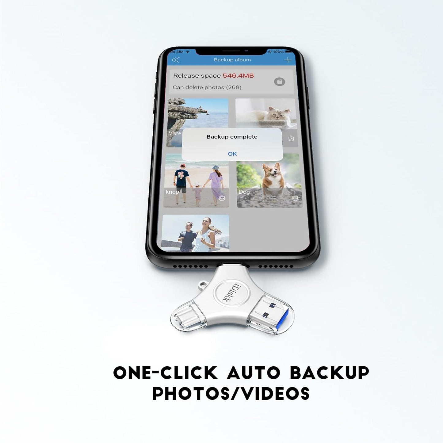 iDiskk 512GB App-le MFI Certified Photo Vault for iPhone USB Storage FlashDrive for USB-C iPad Android Samsung for iPhone 16/15/14/13/13 pro/12/12 pro/11 Pro/XR/X,Photo Stick for Computer MacBook