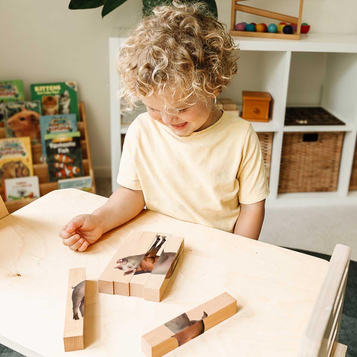 Wooden Animal Chunky Puzzles for Toddlers 2+ Years - Montessori 4 in 1 Farm Animal Block Puzzle Toy