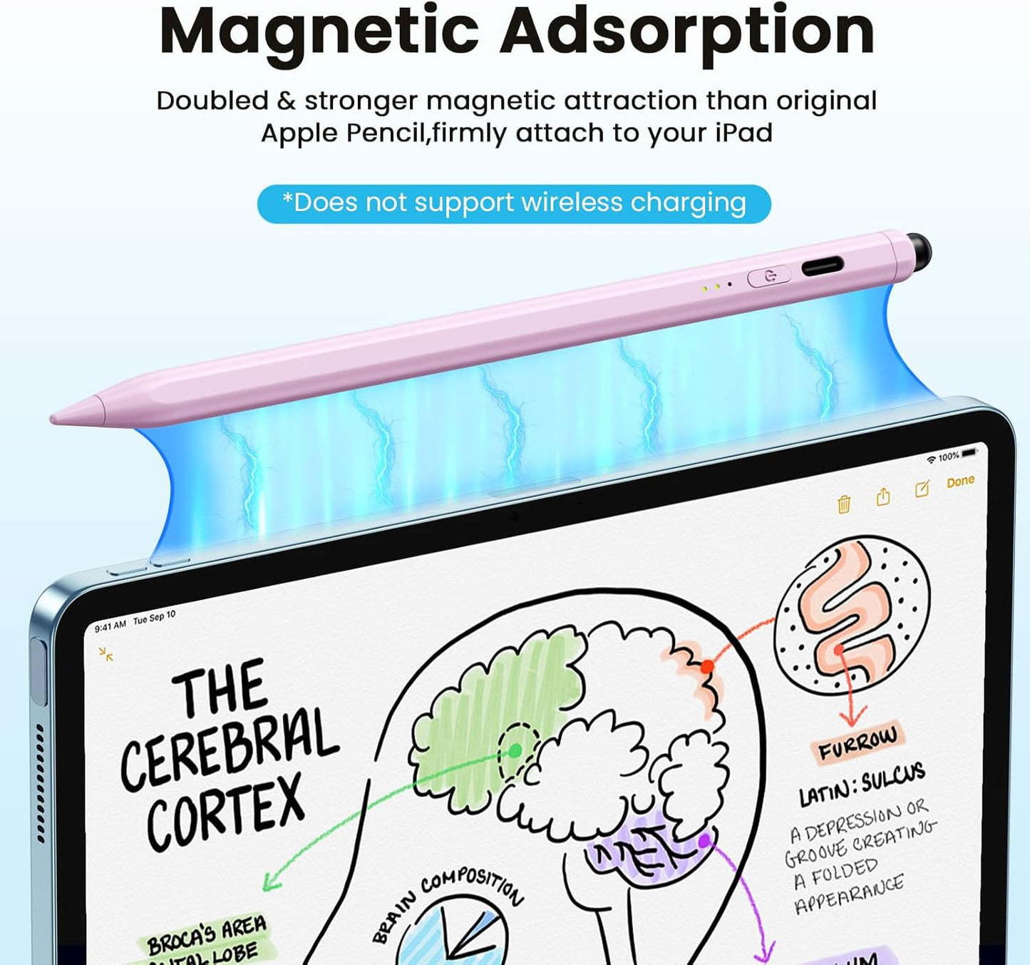 Stylus Pen for iPad(2025-2018),13 mins Fast Charge Pencil with Tilt Sensitivity and Palm Rejection for iPad A16/10/9/8/7/6,Air 13"/11"/M3/M2/5/4/3,Pro 11"/13"/12.9"/M4/M2/M1,Mini 7/6/5, Pink