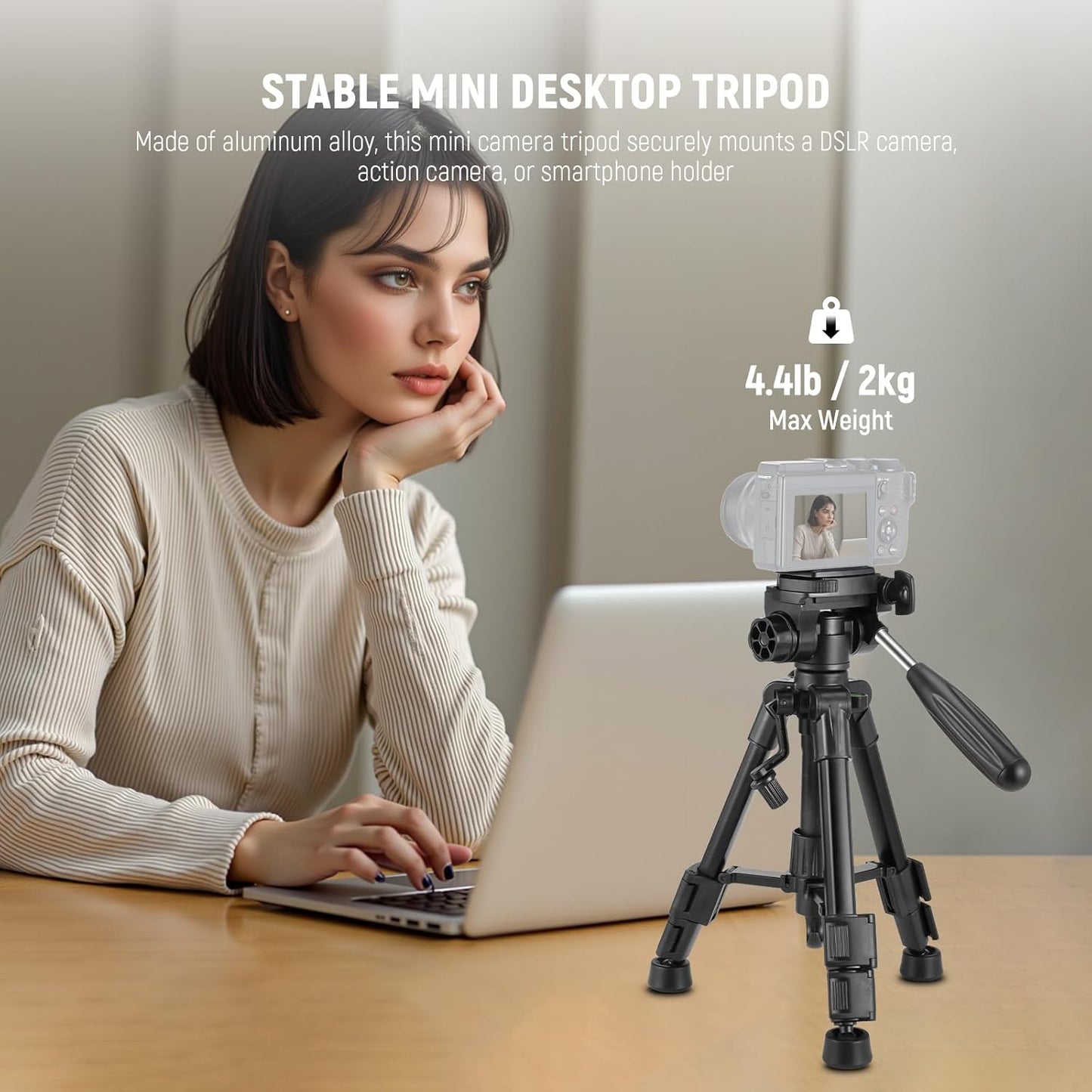 NEEWER Basic Mini Desk Tripod for Camera with 3 Way Pan Tilt Head & Handle, Small Portable Metal Tabletop Selfie Stick Stand with 1/4" Screw for DSLR Vlog Video Recording, Max Load 13.2lb, TP02