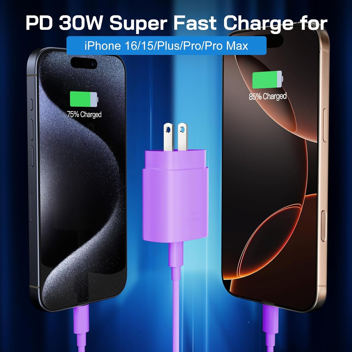 30W USB C i Phone 16 15 Charger Fast Charging, 2PACK Wall Charger for iPhone 16 15 Pro Max Charger Cord 10FT Fast Type C Charger Block for iPhone 16/16 Pro/15 Plus/15 Pro/15 Pro Max, iPad Pro, Purple