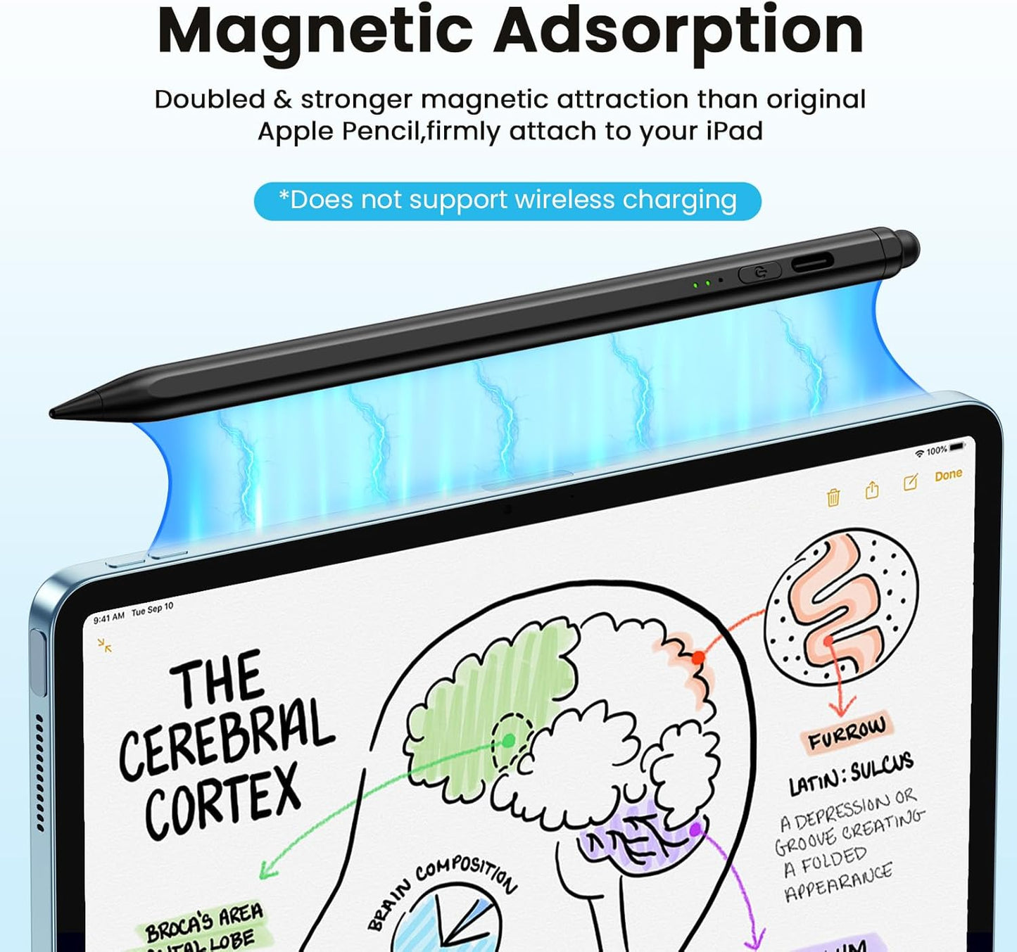 Stylus Pen for iPad(2025-2018),13 mins Fast Charge Pencil with Tilt Sensitivity and Palm Rejection for iPad A16/10/9/8/7/6,Air 13"/11"/M3/M2/5/4/3,Pro 11"/13"/12.9"/M4/M2/M1,Mini 7/6/5,Black