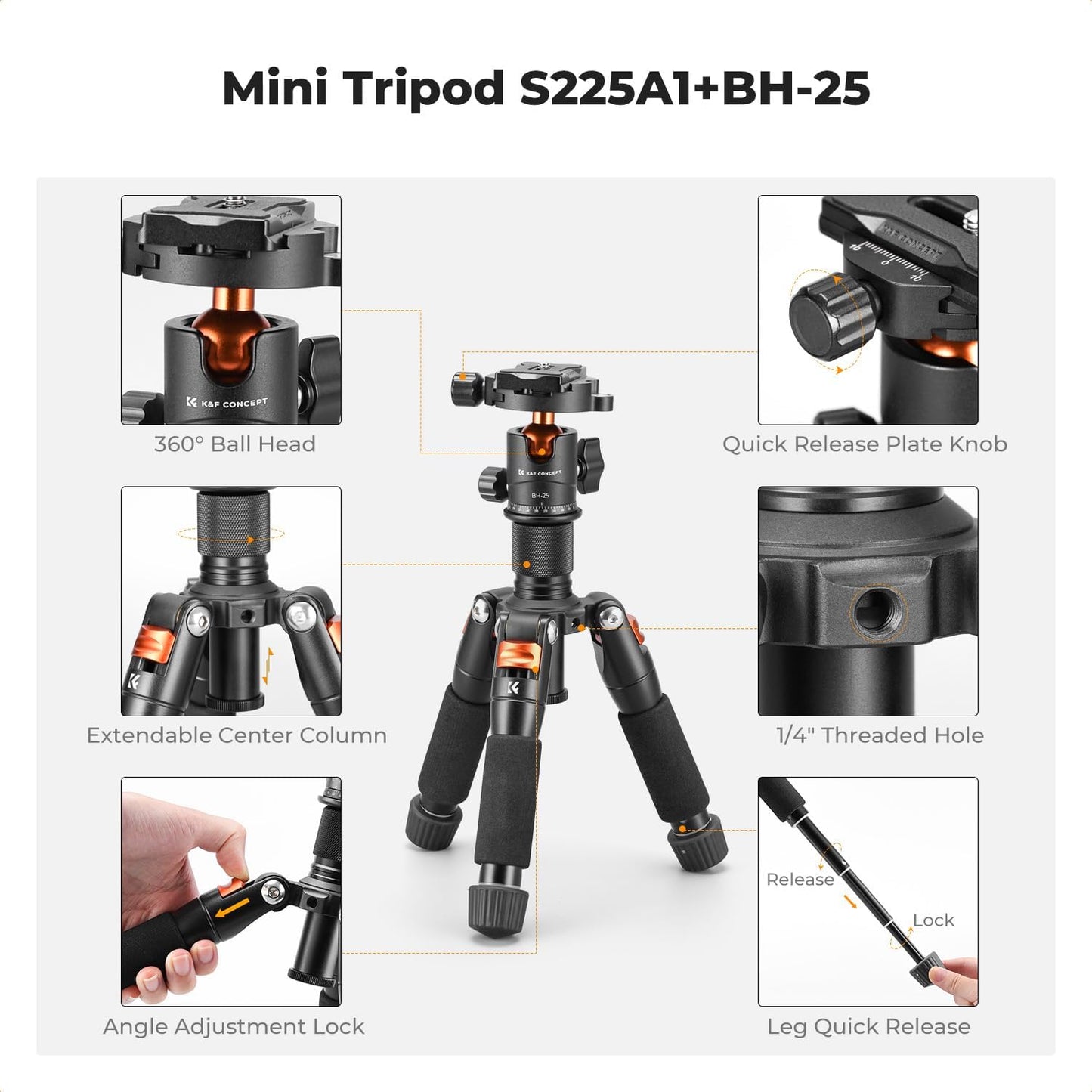 K&F CONCEPT Mini Desktop Tripod, 20.5''/ 52cm Compact Desk Tripod with 360 Degree Ball Head, 1/4 inch Quick Release Plate for Camera Video Camcorder, Load up to 13.22 lbs/6 KG