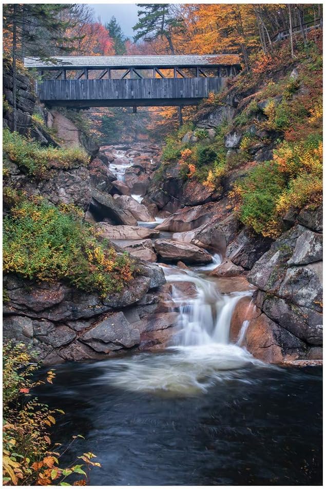 White Mountain Puzzles Covered Bridges, 1000 Piece Jigsaw Puzzle