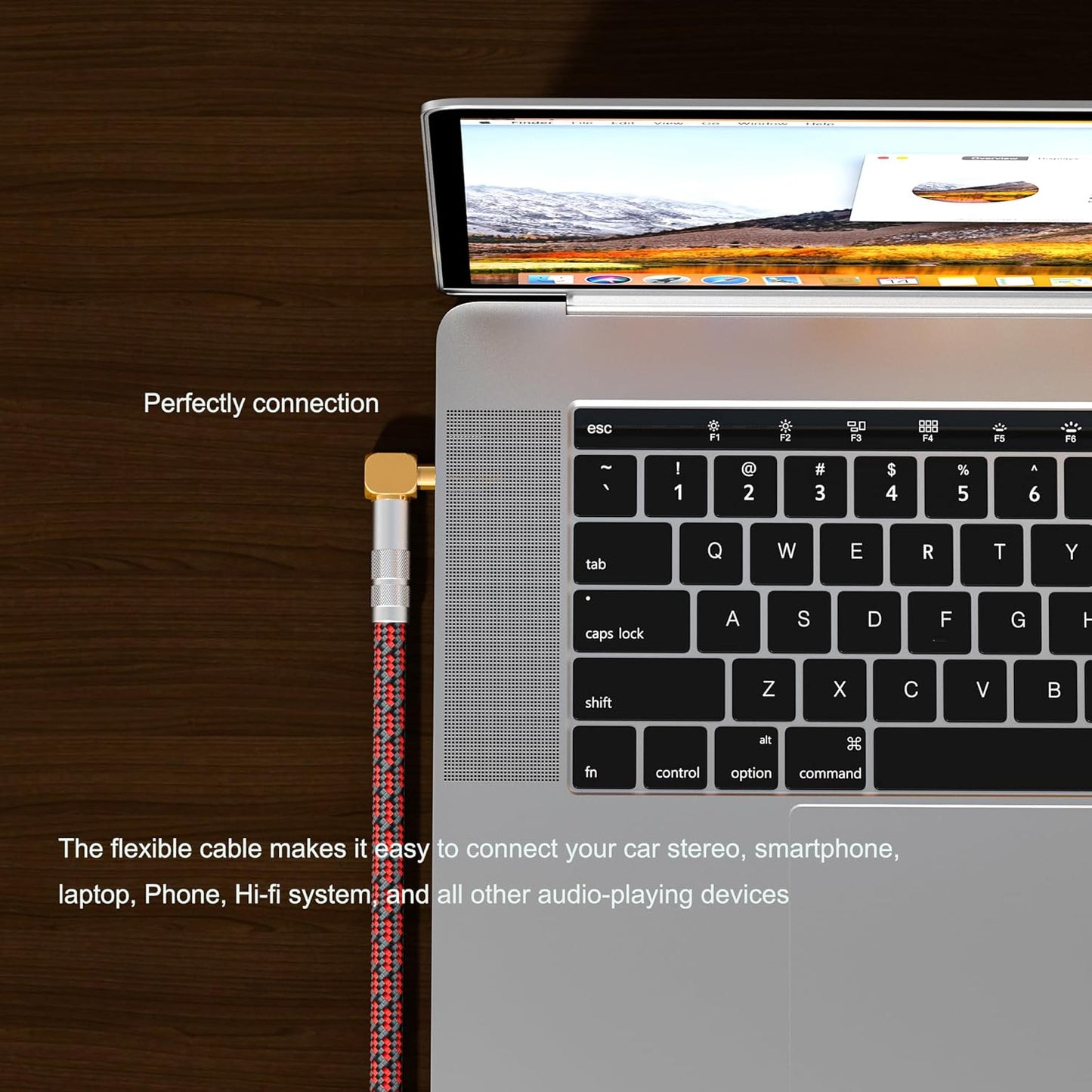 Audiophile High Purity Copper Aux Audio Cable 3.5mm Male to 3.5mm Male Audio Auxiliary Cord Gold-Plated Stereo HiFi Adapter Cable (Straight to Straight, 9.8ft/3m)