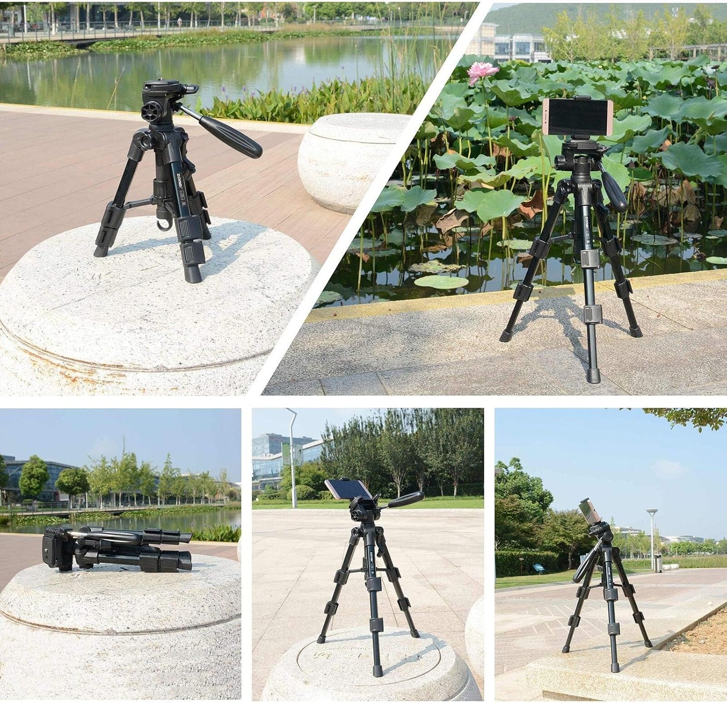Mini Tripod for Camera,Zomei Travel Table Tripod with 3-Way Pan/Tilt Head 1/4 inches Quick Release Plate and Bag for DSLR Camera Tripod Carrying Bag