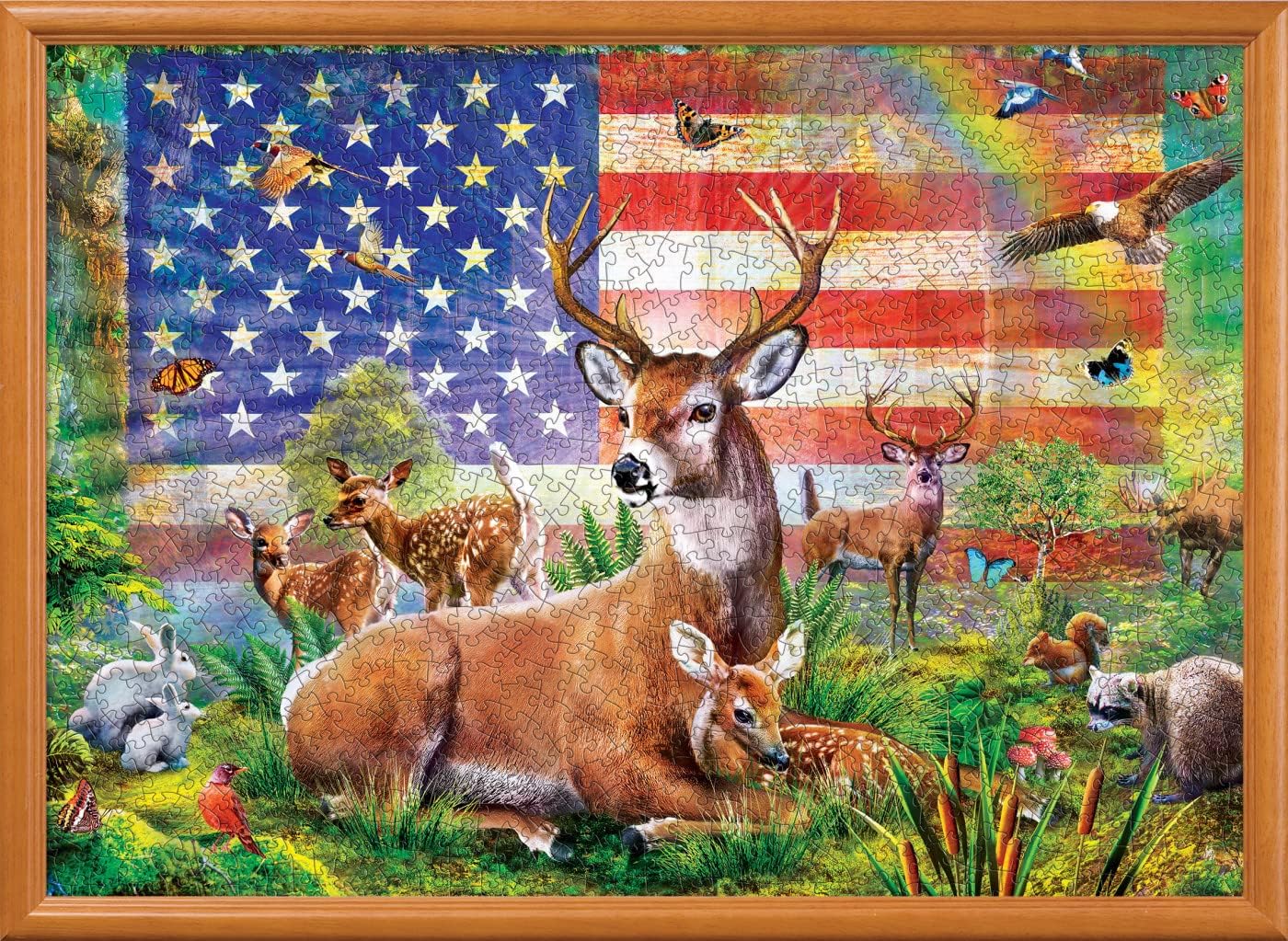 MasterPieces 1000 Piece Jigsaw Puzzle for Adults, Family, Or Youth - Radiant County - 19.25"x26.75"