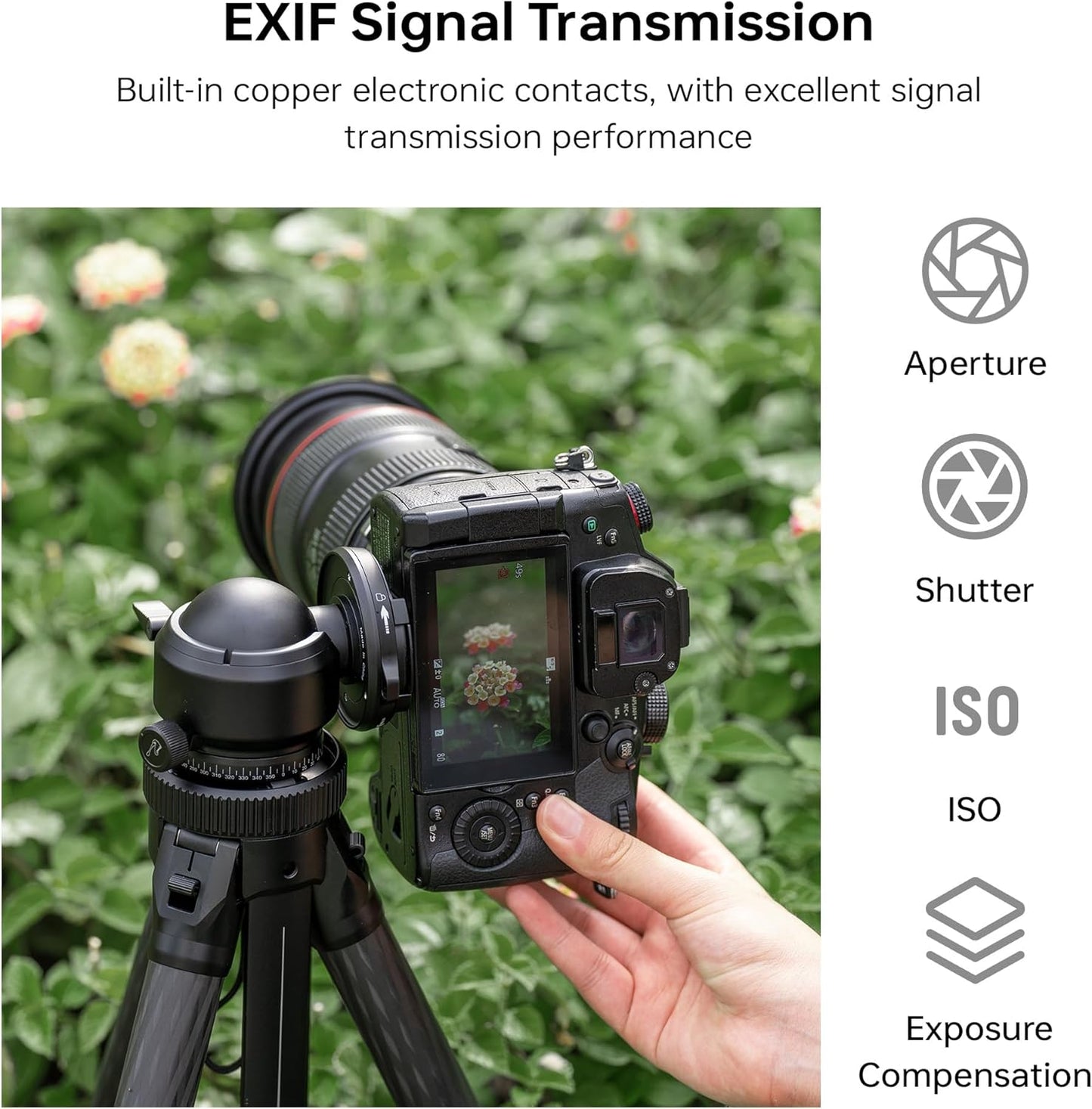 VILTROX EF-M2 Pro Lens Mount Adapter Auto Focus 0.71x Reducer Speed Booster with Security Lock Compatible with Canon EF Mount Lens to M4/3 Camera GH4 GH5 GH5S GF6 GX85 GX7 Olympus E-M5 E-M10 E-PL5