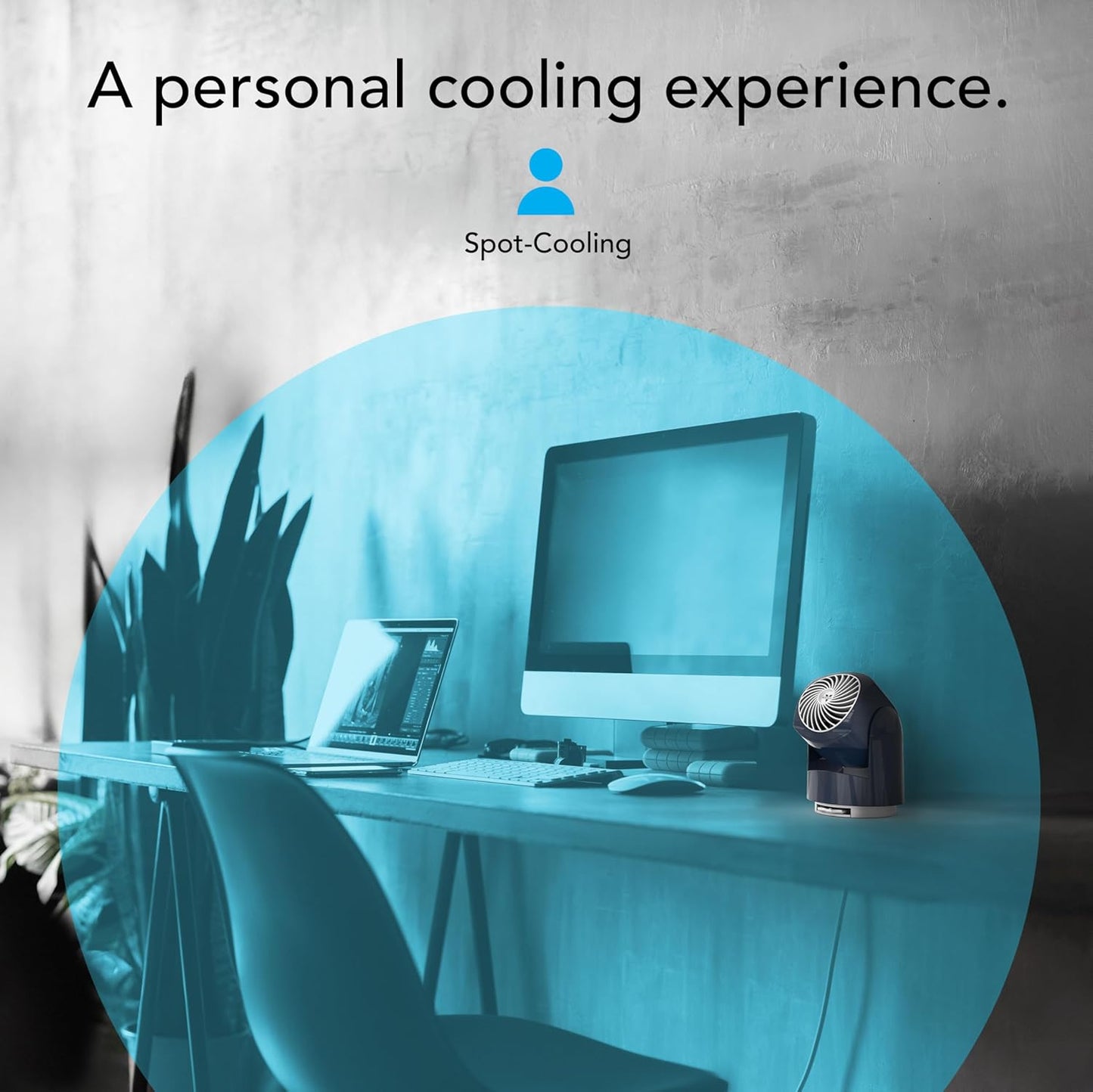 Vornado Flippi V6 Compact Air Circulator Fan, Quiet Portable Travel Fan for Desk or Bedroom, Adjustable Head, 2 Speeds, Midnight