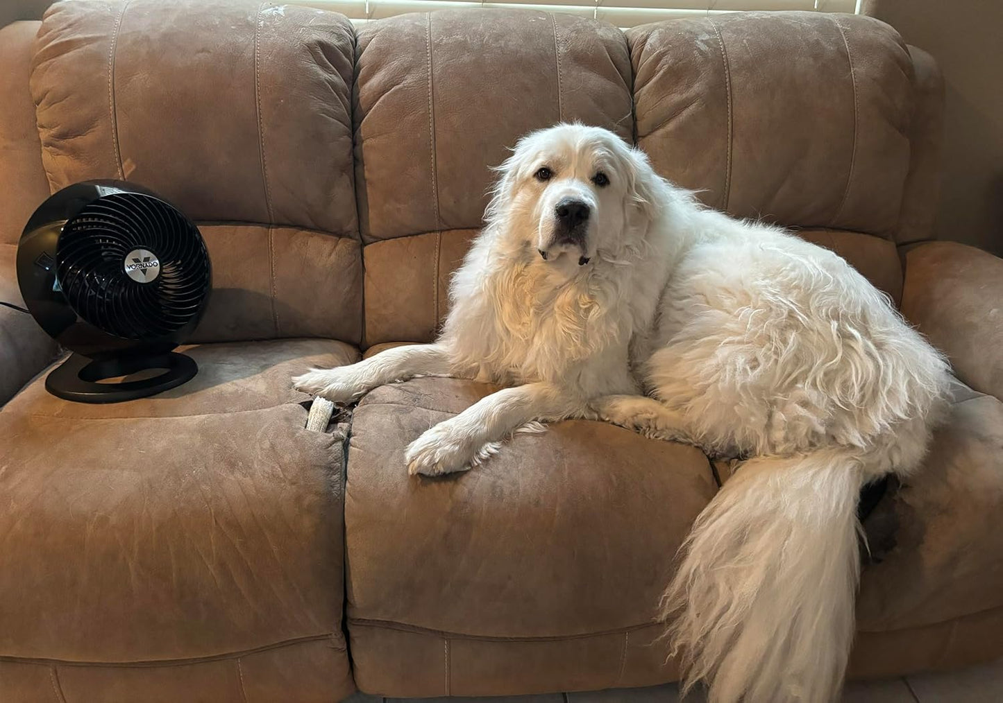 Vornado 560 Whole Room Air Circulator, Medium Floor 4 Speeds, Adjustable Tilt, Easy to Clean, Quiet Fan for Home, Office, Bedroom, Black